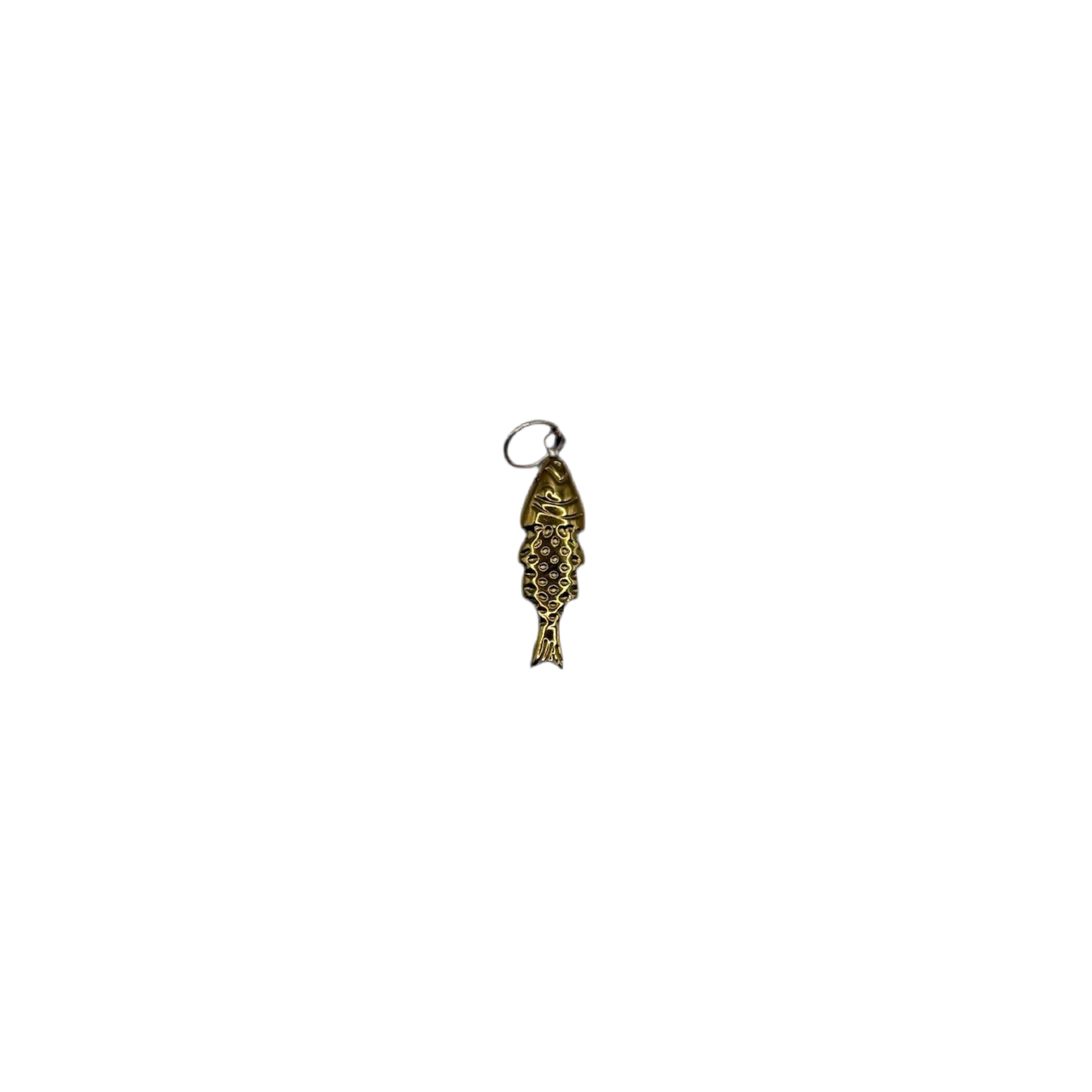 ‘The Golden Fish’ Charm
