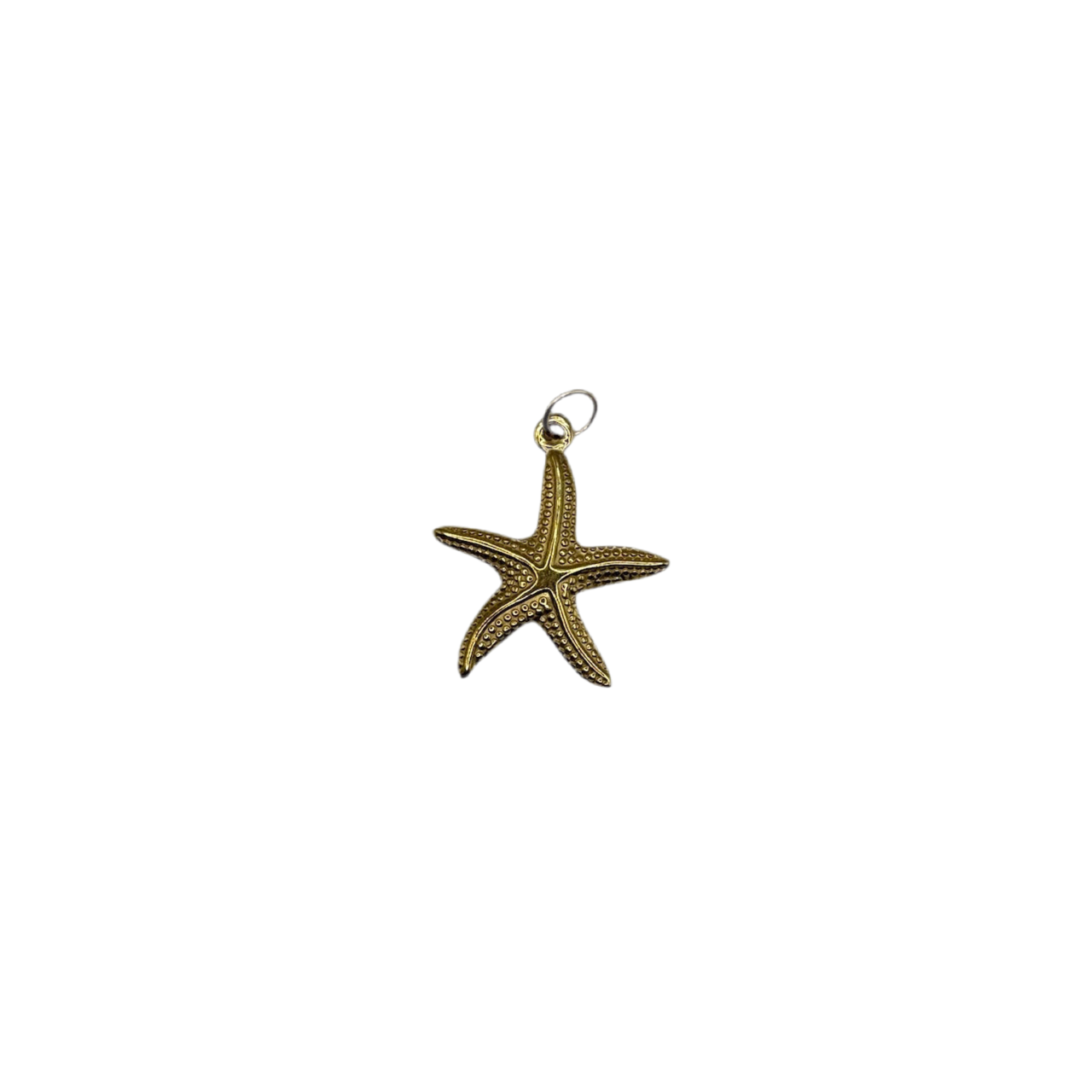 ‘Star Of The Tide’ Charm